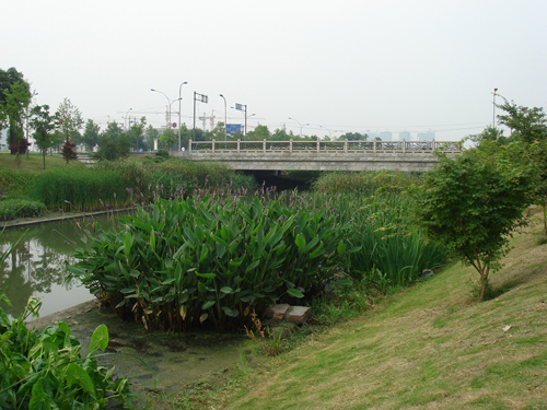 案例展示四(图1)