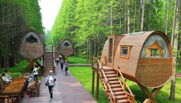 原创 真香美食：菜花炒鸡蛋、番茄姜味虾、笋干扣肉、红烧鸡块的做法【星空官网】