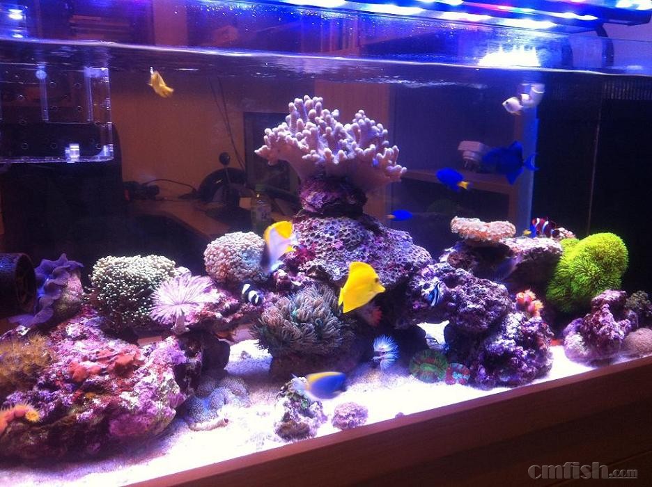 造型红薯的做法_造型红薯怎么做_萱妈DaisyCheng的菜谱|星空官网