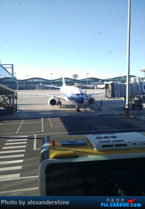 著名天津女画家刘正受聘成为大道画院特聘画家“星空官网”(图1) 星空官网