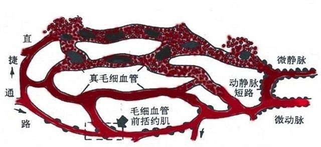 星空官网